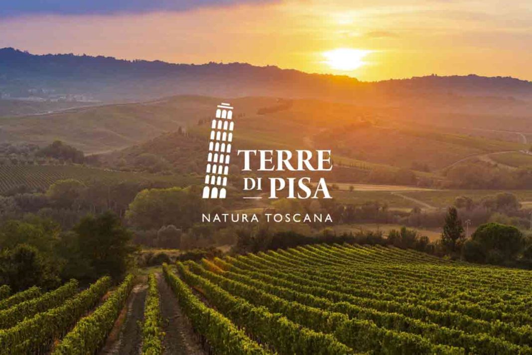 terre di pisa DMO